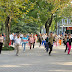 Recreation parks in China - Scream and shout or practise Tai Chi