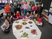 Our Leaf Collection