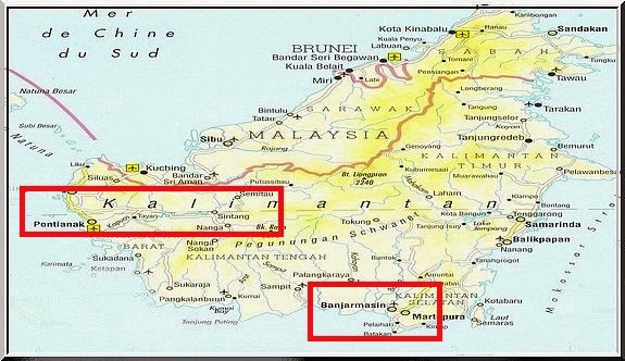 treasures of kalimantan dragon