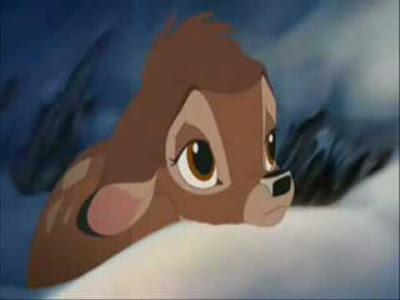 Calluna Magazin 2014