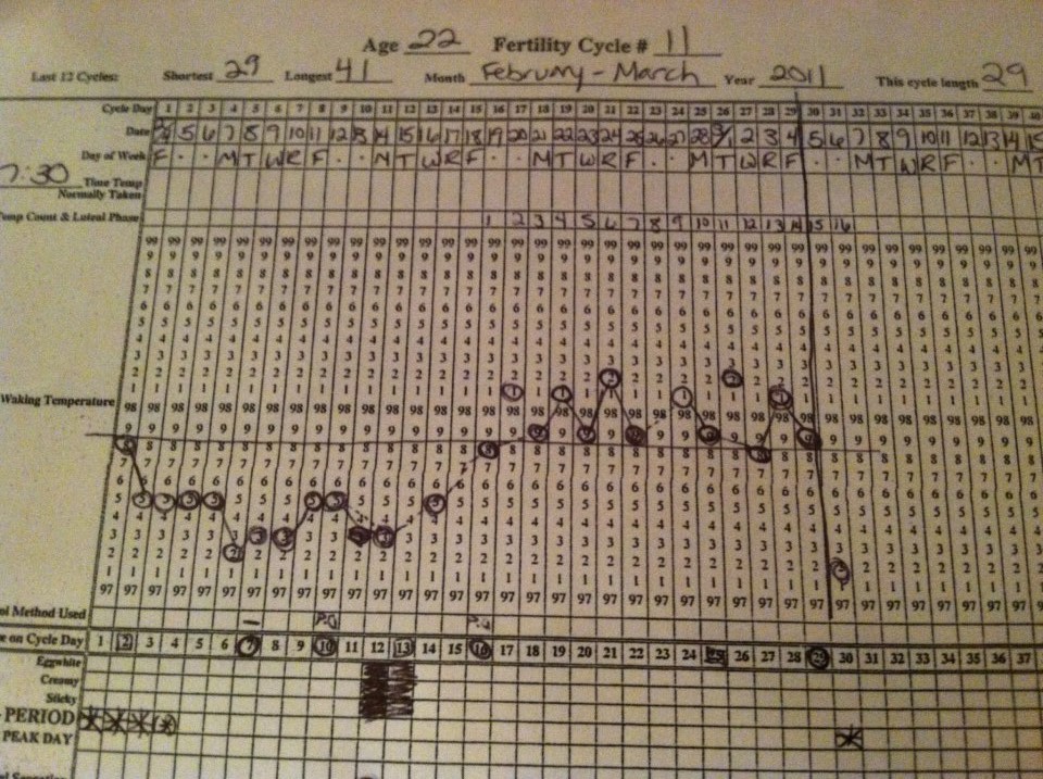parenting the pipsqueak taking charge of your fertility nfp charting examples