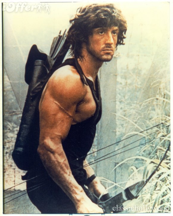 Stallone Workout And Diet