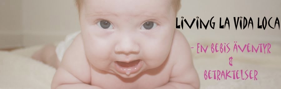 Living La Vida Loca - En bebis äventyr och betraktelser