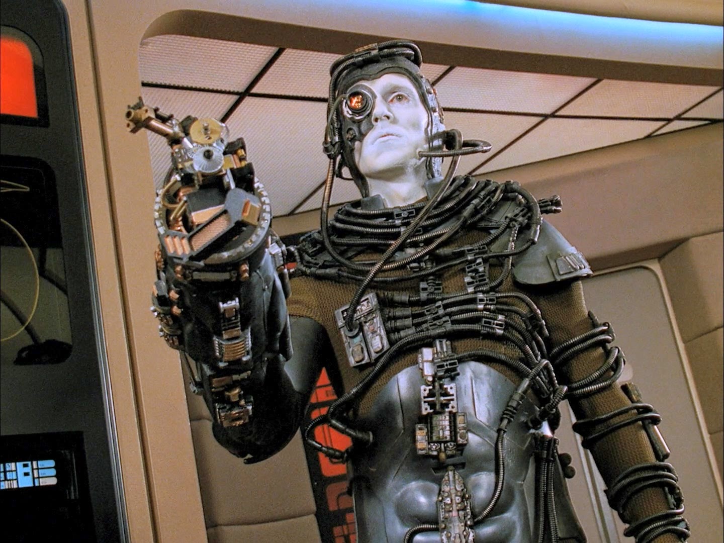 The Bearded Quail Bringing Back The