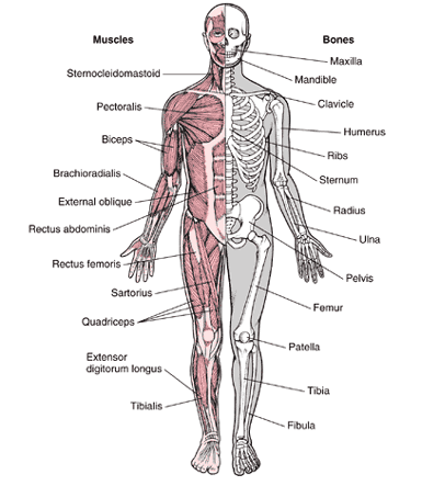 What is the AFAA test?