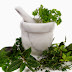 Perkembangan Obat Herbal di Indonesia