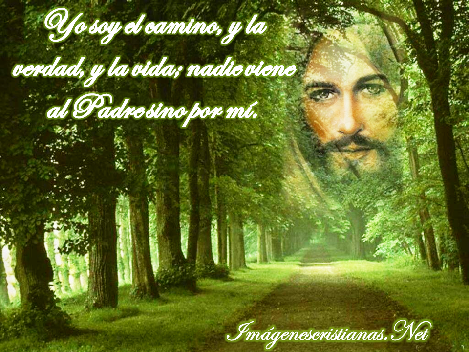 YO SOY EL CAMINO yo soy el camino: