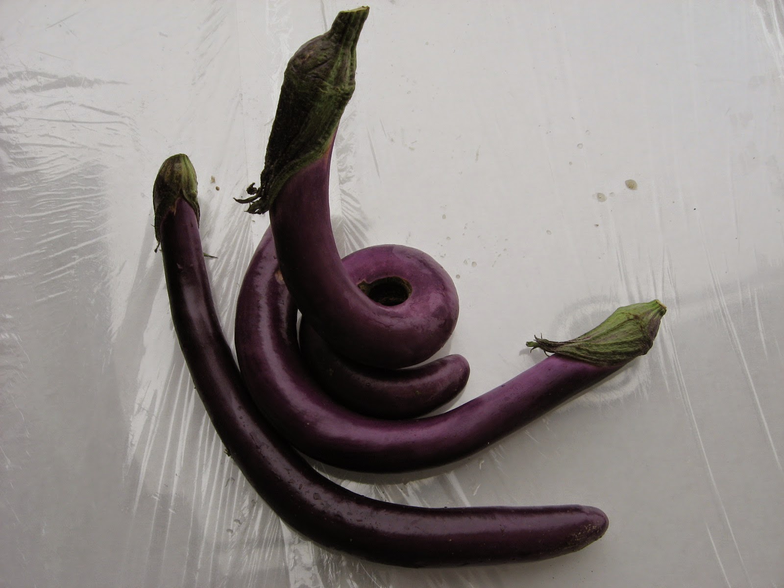 chinese eggplant chinese eggplant