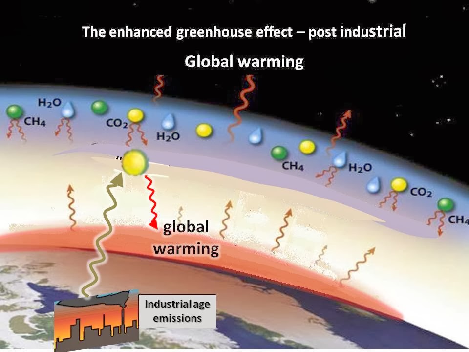 Biomass Industrial Innovative Projects Carbon Positive, Carbon Carbon