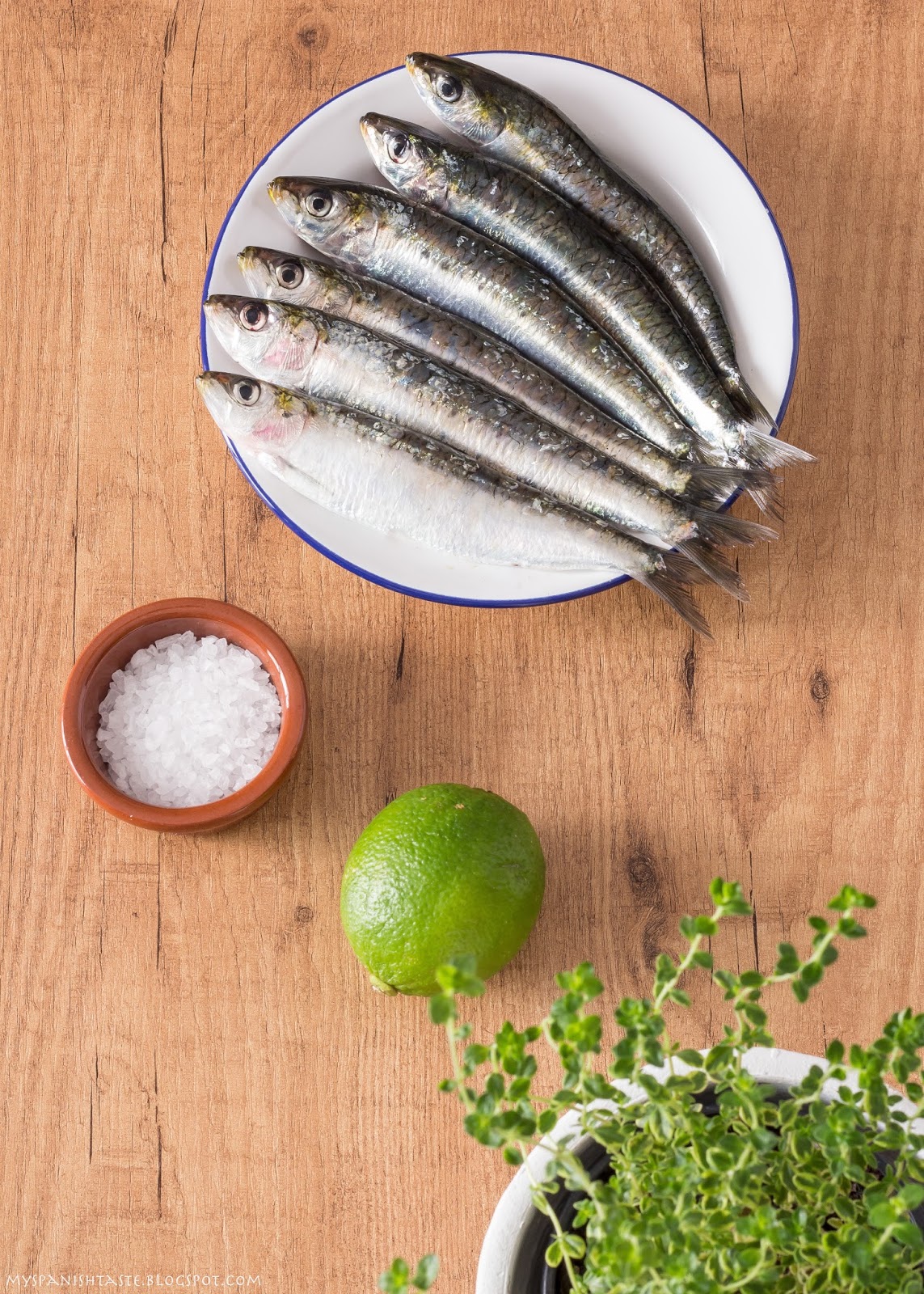 My Spanish Taste Baked sardines