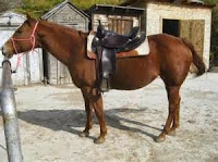 tax credit financing