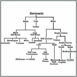 THE GERMANIC LANGUAGES A way on the history of English language THE GERMANIC LANGUAGES A way on the history of English language