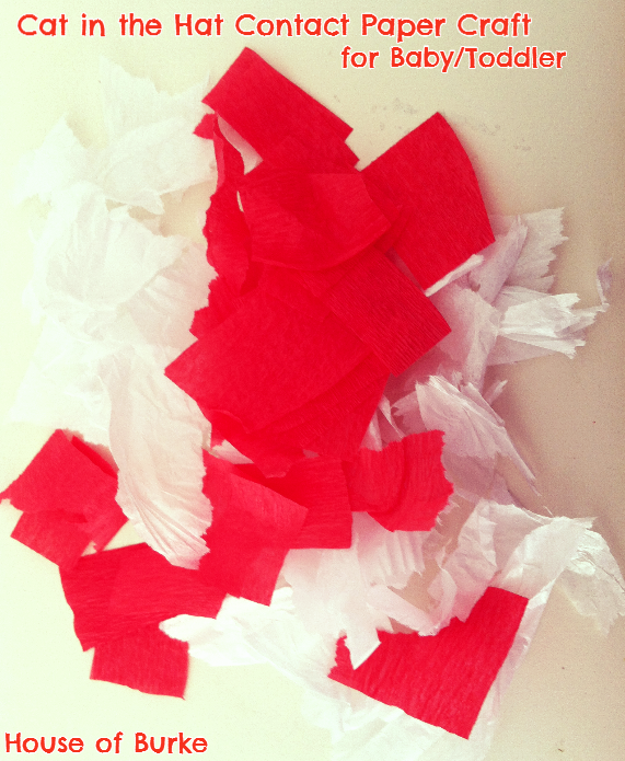 House of Burke Dr Seuss Week Cat in the Hat Contact Paper Craft