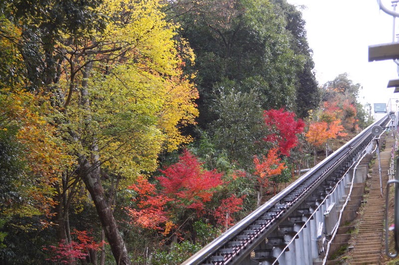 日本紅葉見頃 天橋立