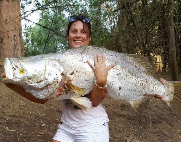 Big Fishes of the World: BARRAMUNDI (Lates calcarifer)