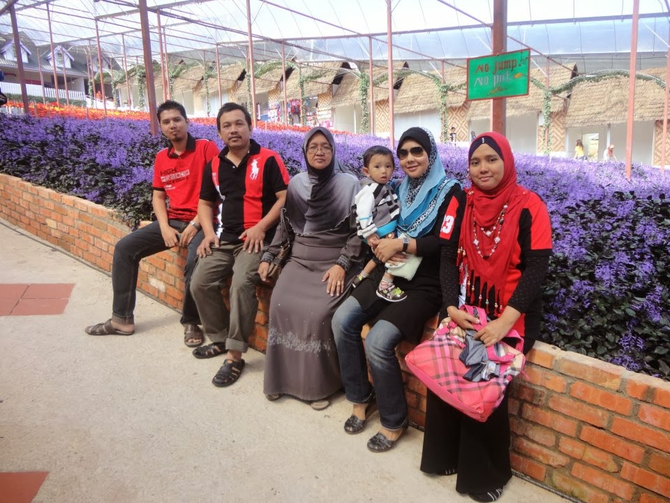 CAMERON HIGHLAND : @ TAMAN LAVENDER