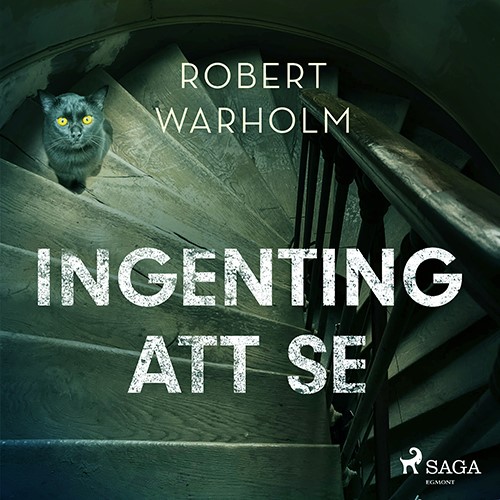 Ingenting att se (e-bok)