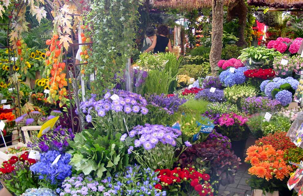 tomates en el balcon 2013 04 21