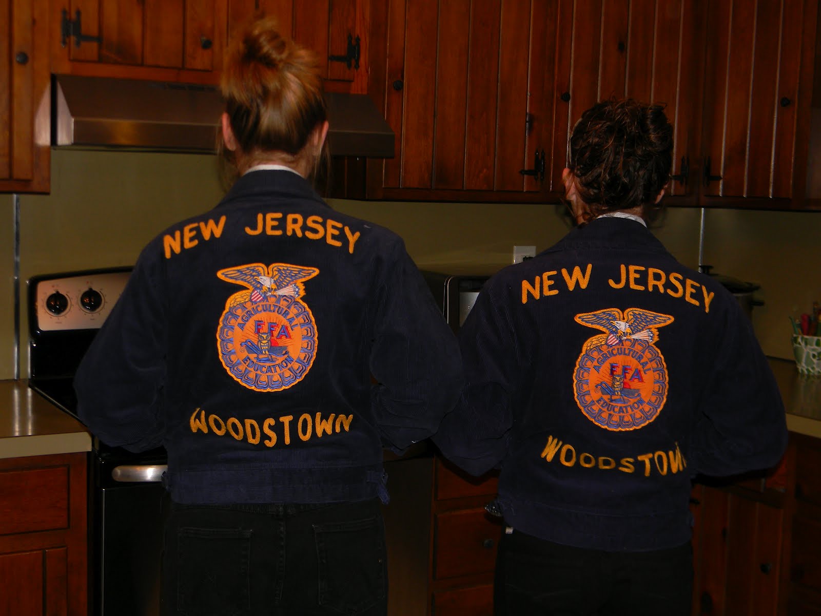 Dairy Cow Conformation