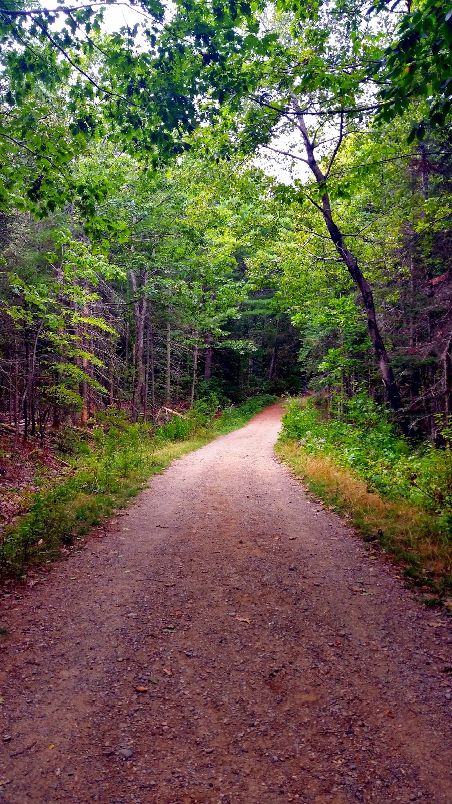 Bald Rock Trail Camden, Maine