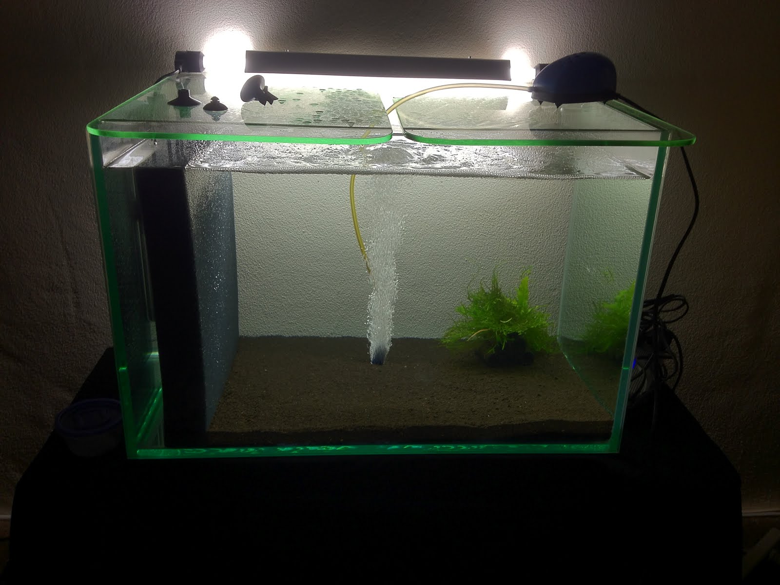 Emboli's Aquariums SHRIMP TANK New setup