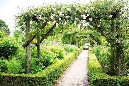 most beautiful rose gardens in the world mottisfort gardens - Most Beautiful Rose Gardens In The World most beautiful rose gardens in the world mottisfort gardens - Most Beautiful Rose Gardens In The World