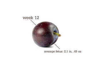 they call me mama 12 weeks pregnant 12 week fetus size