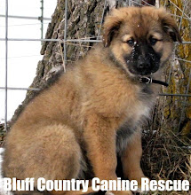 BLUFF COUNTRY CANINE RESCUE