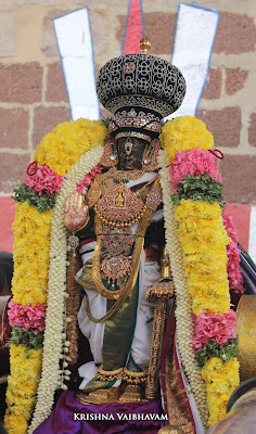 2015, Kodai Utsavam, Venkata Krishnan Swamy, Parthasarathy Temple, Thiruvallikeni, Triplicane,Day 02