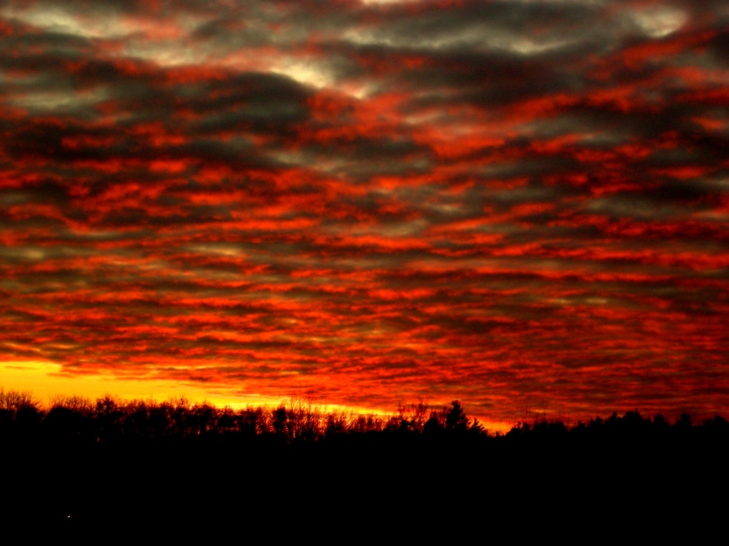 Confusio Linguarum Georg Trakl The Harbinger Of A Hushed Apocalypse