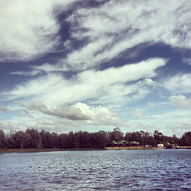 A Wife's Charmed Life Woodcroft Lake Festival