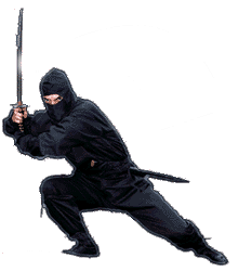 ninja%252Bgallery%252Bwallpaper-71aaa.gif