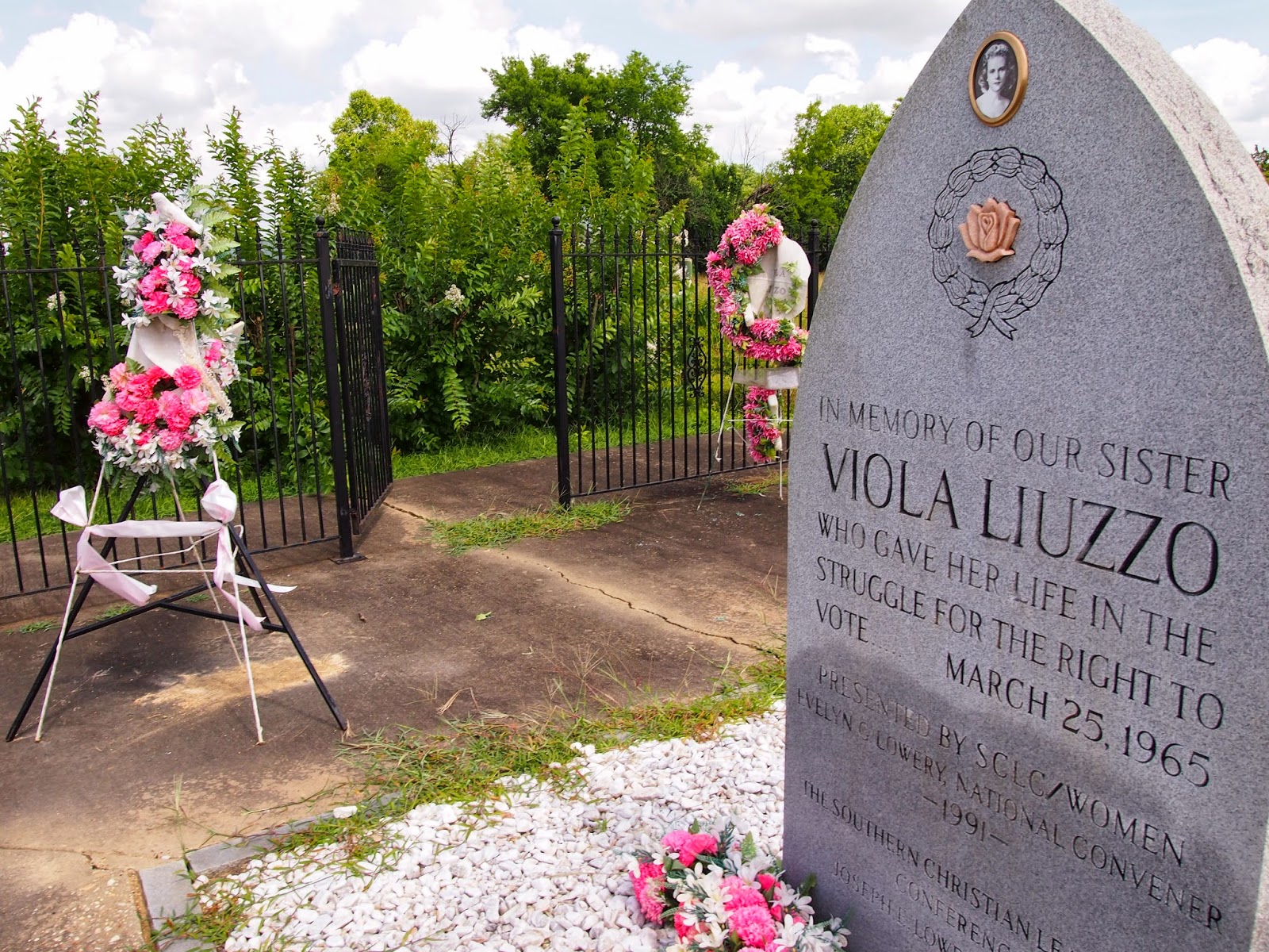 Lucky Star Selma Discovering Viola Liuzzo