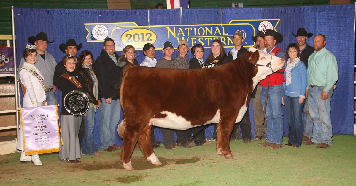 Buck Cattle Co. Blog NWSS Reserve Grand Polled Hereford Jr & Open Show