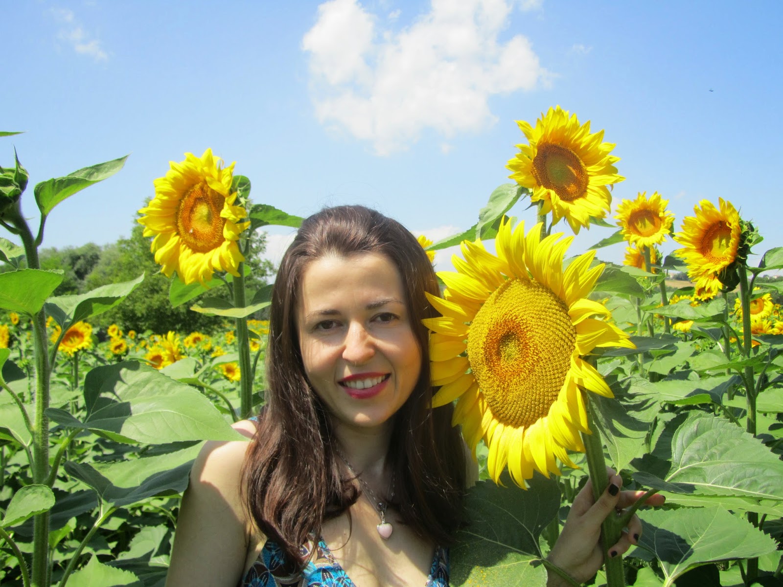 incontro anima fiamma gemella