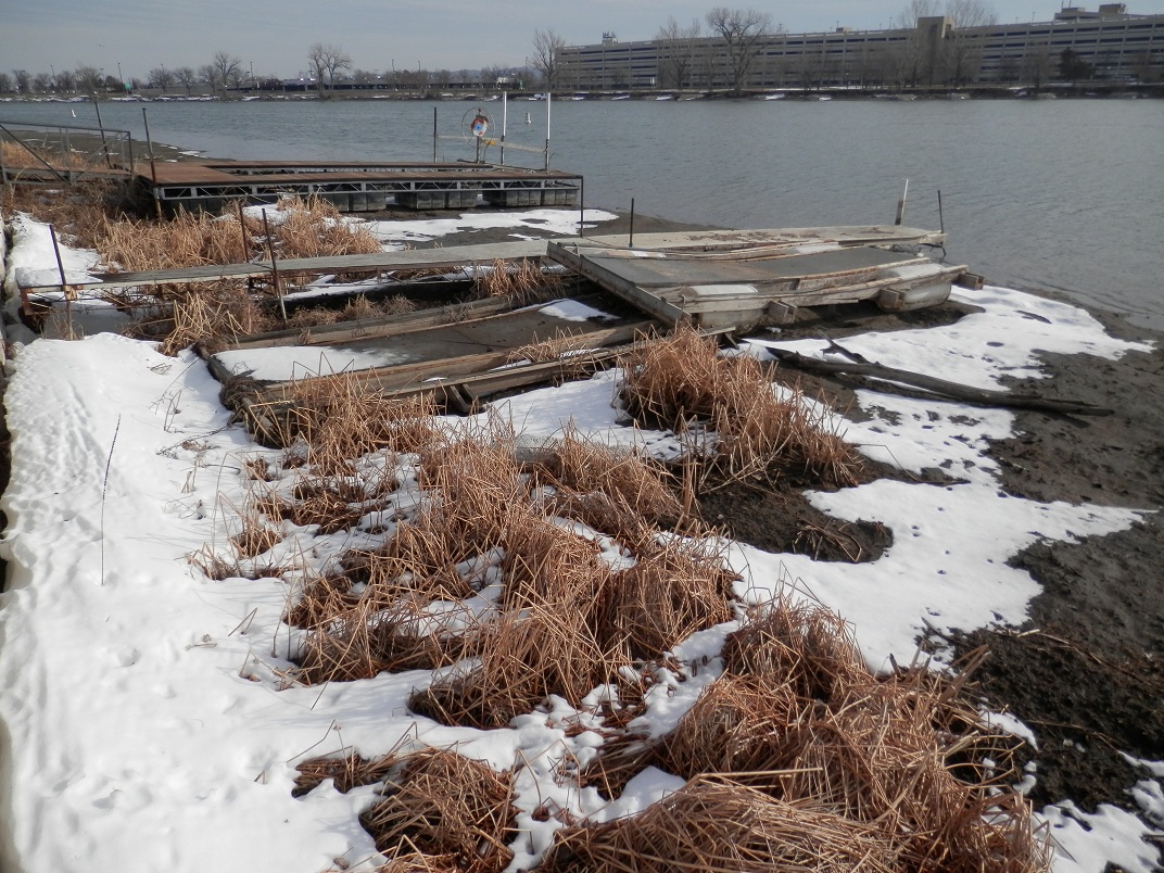 Wildbirds Broadcasting Survey Indicates Nebraskaland on Iowa Side of