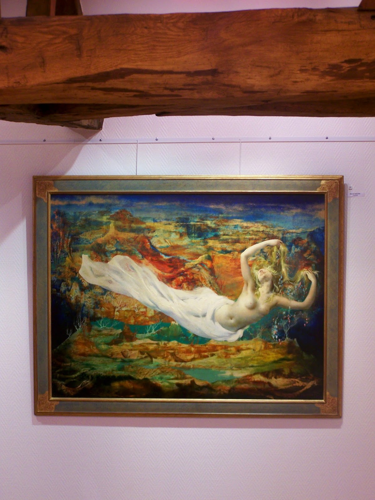 Le chat à deux têtes Marcel Delmotte