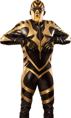 SohoDesign: Goldust (PNG)
