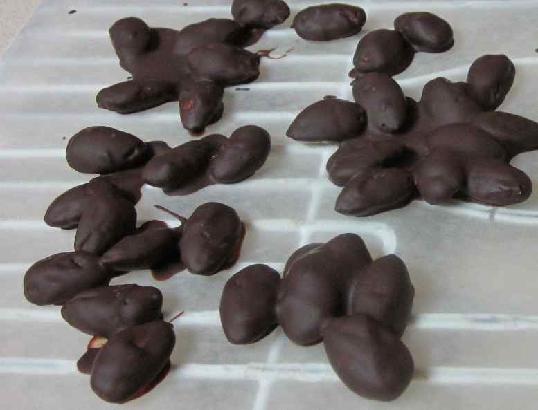 Karen’s Vegan Kitchen Healthy & Easy Chocolate Covered Almonds