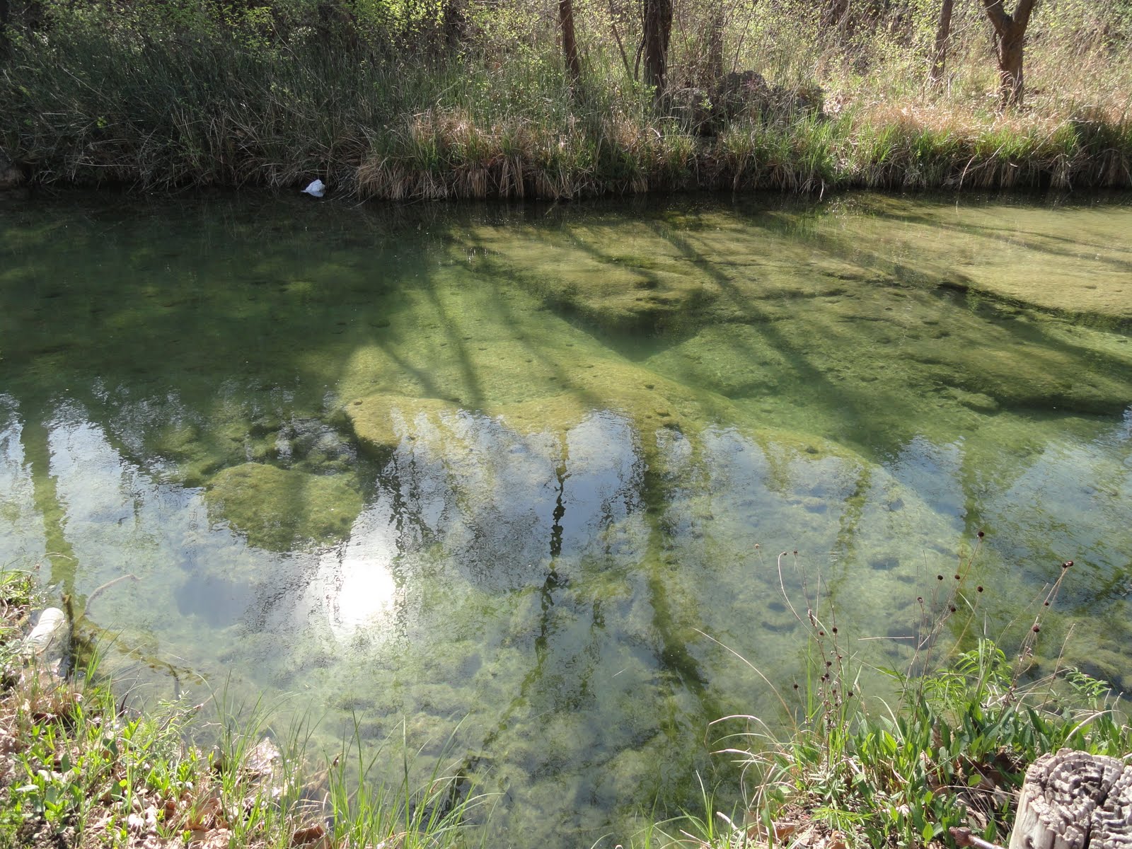 Got Barry On The Brain Turner Falls Getaway