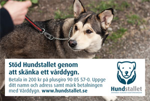 Hundstallet