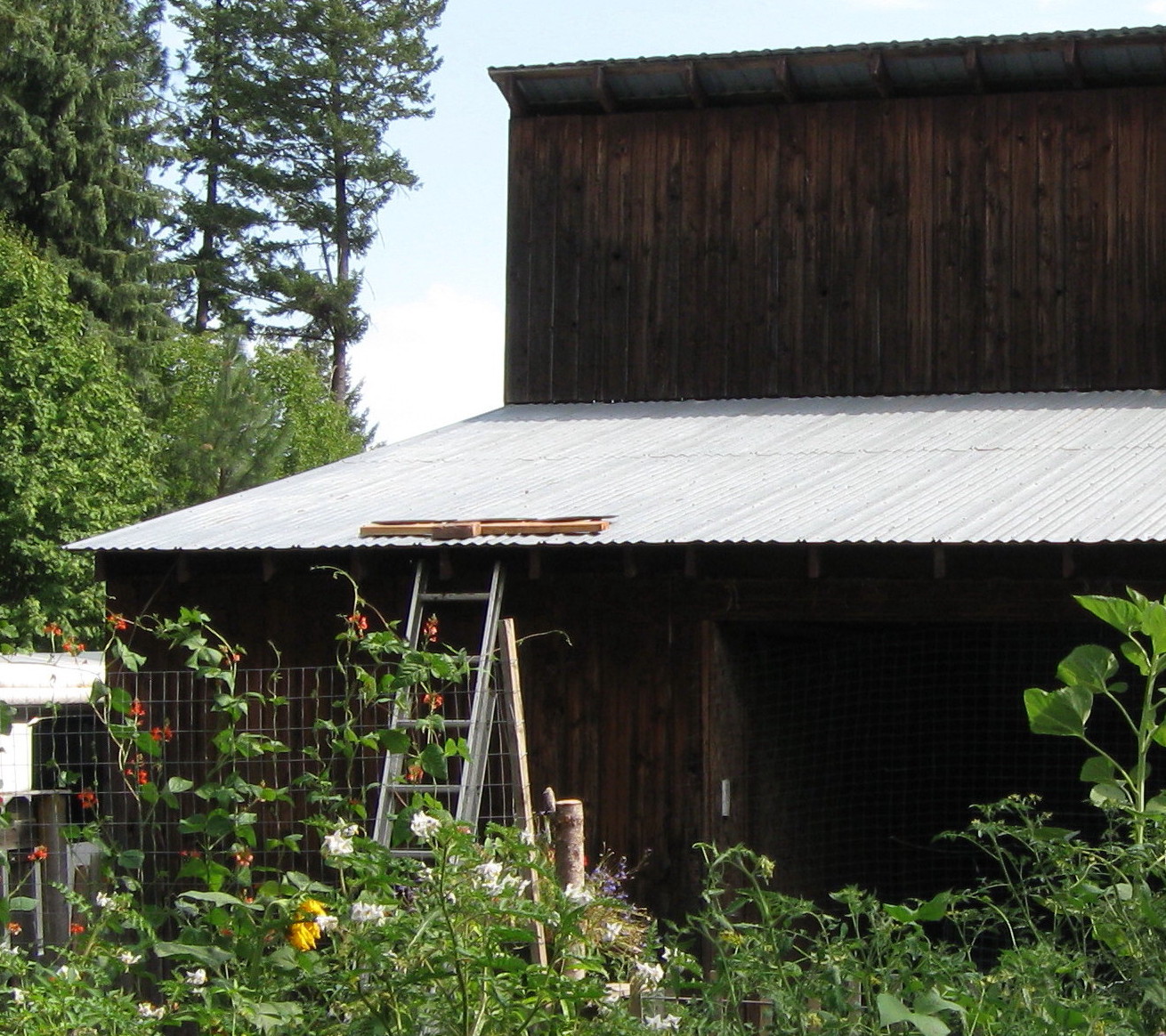 our subsistence pattern pellet