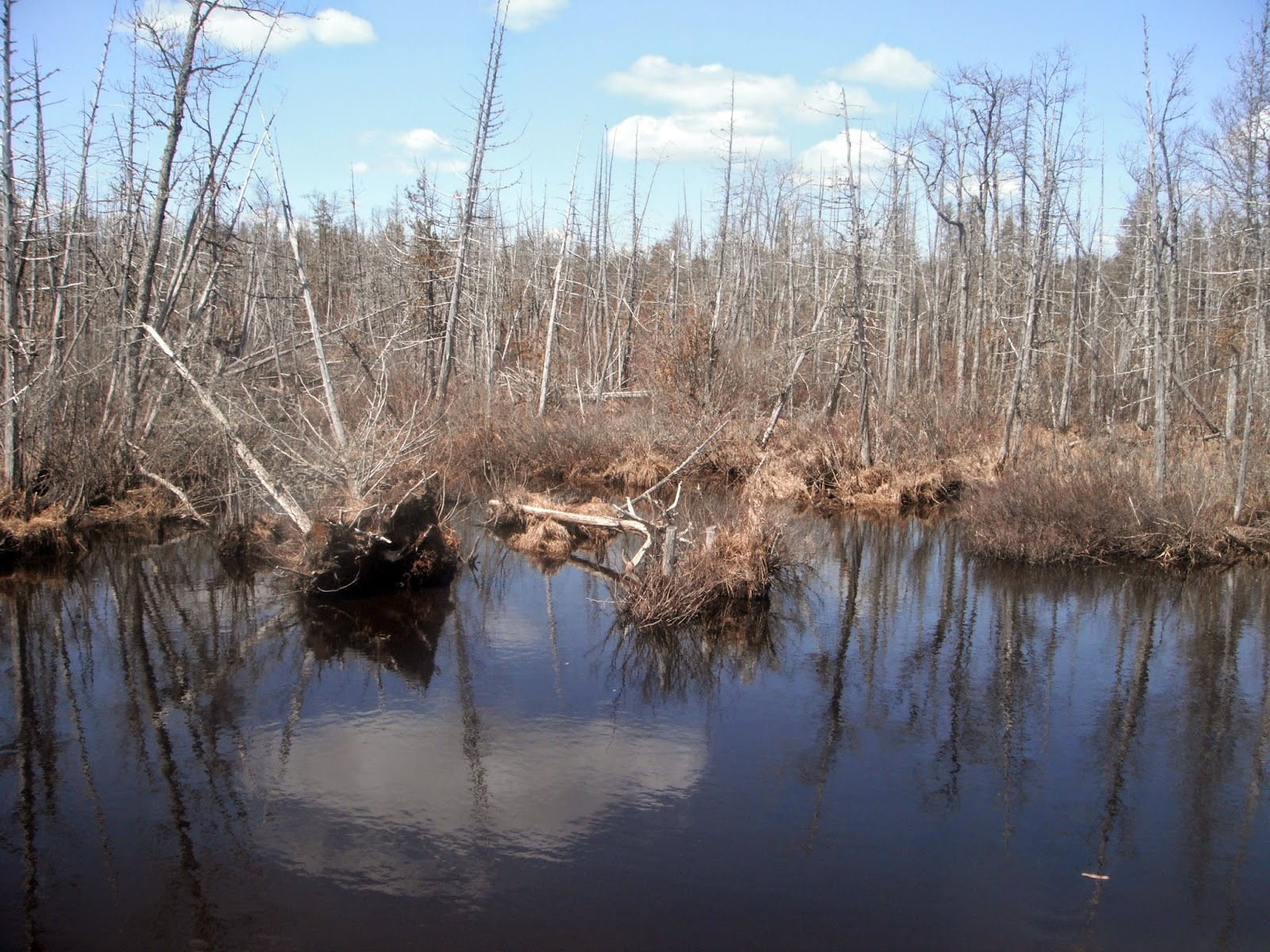 OFF THE BEATEN PATH Scotch Lake Road
