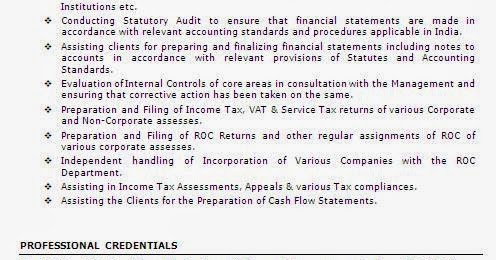 Jumbo curriculum vitae 08 image