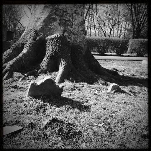 From the blog 'Historic Wanderings' Image of sunken grave marker, Dumfries, Virginia.