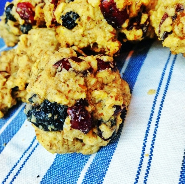Mix it Up Oatmeal Dried Fruit Cookies