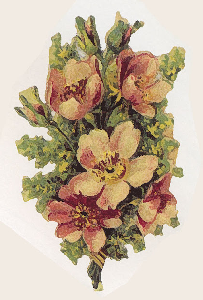 artbyjean - vintage clip art three
