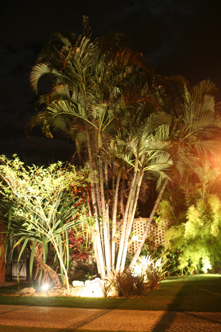 iluminacao led jardins:Orquidário OrquivivA: Iluminação nos jardins iluminacao led jardins:Orquidário OrquivivA: Iluminação nos jardins