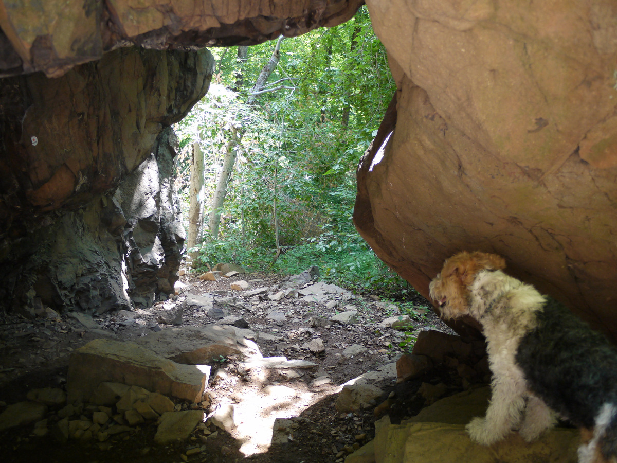 Along the NETCohos Rattlesnake Mountain, Farmington
