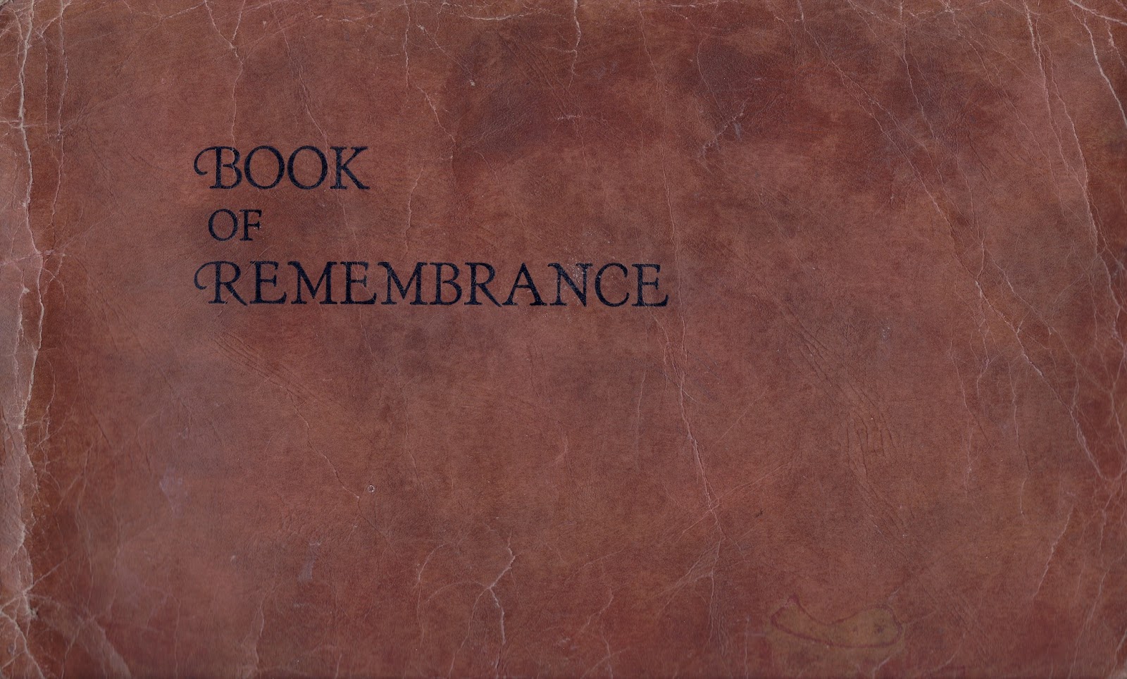 book thermische book thermische turbomaschinen thermodynamisch strömungstechnische